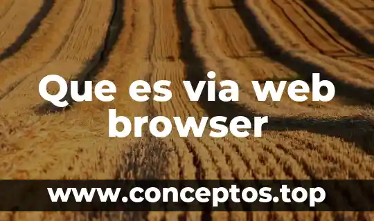 Que es un header web 6 Que es via web browser