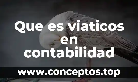 Que es estado de resultados contabilidad 6 Que es viaticos en contabilidad