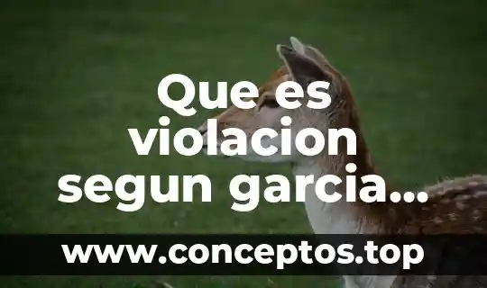 Que es violacion segun garcia maynez