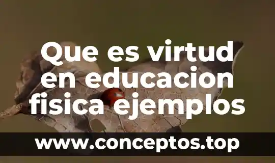 Que es virtud y el bien significado 7 Que es virtud en educacion fisica ejemplos