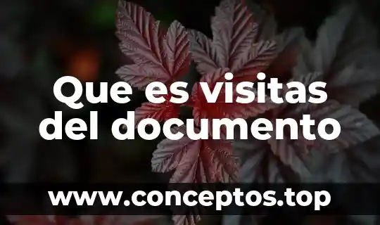 Que es el número de documento de identidad 6 Que es visitas del documento