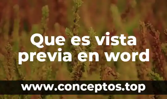Que es vista previa en word