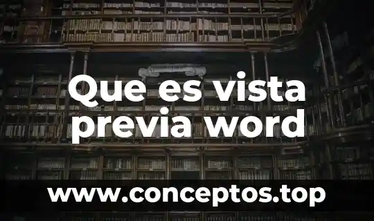 Que es vista previa word