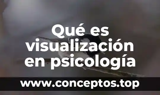 Qué es visualización en psicología