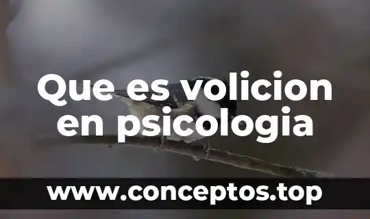 Que es volicion en psicologia