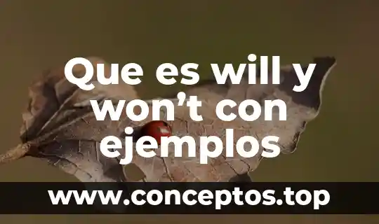 Que es solemnes significado biblico 7 Que es will y won’t con ejemplos