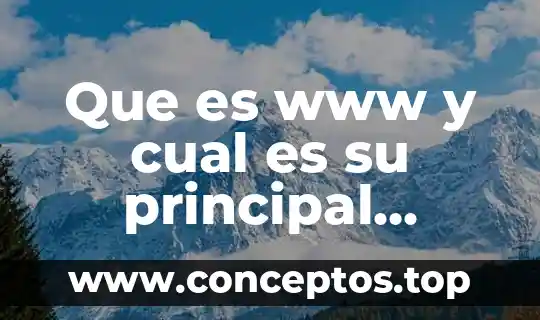 Que es www y cual es su principal funcion