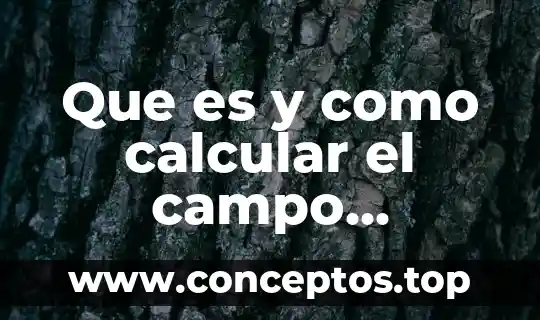 Que es y como calcular el campo electrico