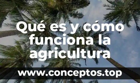 Qué es y cómo funciona un inhibidor de señal 7 Qué es y cómo funciona la agricultura