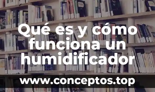 Qué es un cronómetro electrónico y cómo funciona 8 Qué es y cómo funciona un humidificador