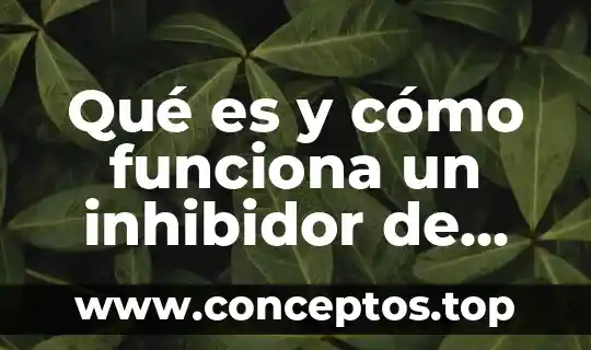 Qué es y cómo funciona la agricultura 6 Qué es y cómo funciona un inhibidor de señal