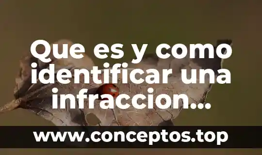 Que es y como identificar una infraccion derecho