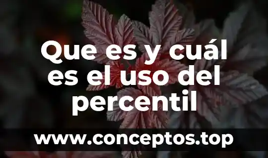 Que es y cuál es el uso del percentil
