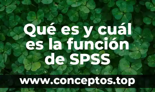 Qué es y cuál es la función de SPSS