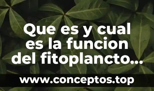 Que es y cual es la funcion del fitoplancto marino