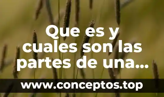 Que es y cuales son las partes de una historieta