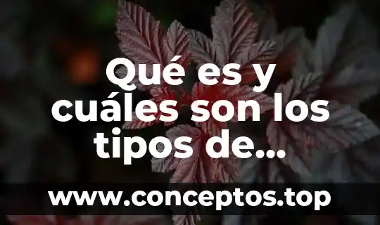 Qué es y cuáles son los tipos de comunicación