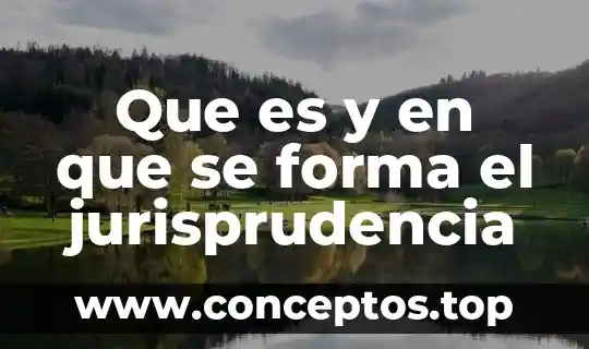 Que es y en que se forma el jurisprudencia