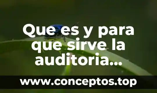 Que es y para que sirve la auditoria administrativa