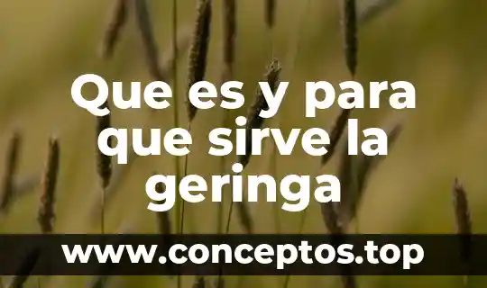 Que es y para que sirve la geringa