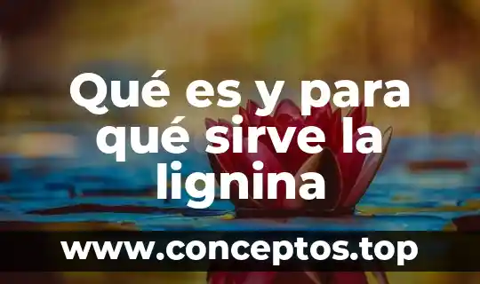 Qué es y para qué sirve la lignina