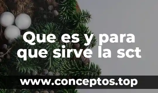 Que es y para que sirve la sct