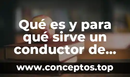 Qué es y para qué sirve un conductor de autobús