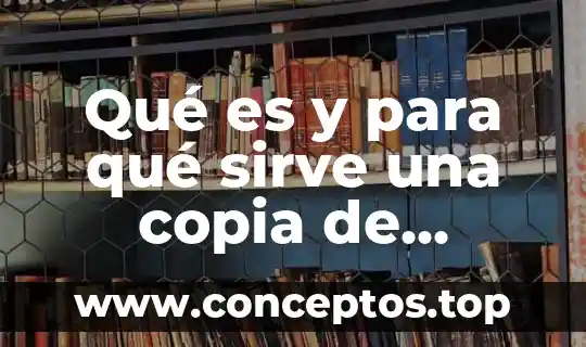 Que es la copia de seguridad fisica 7 Qué es y para qué sirve una copia de seguridad