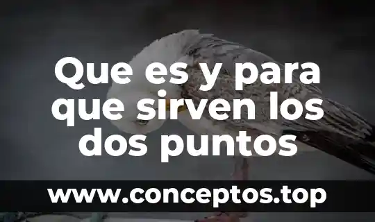 Que es y para que sirven los dos puntos