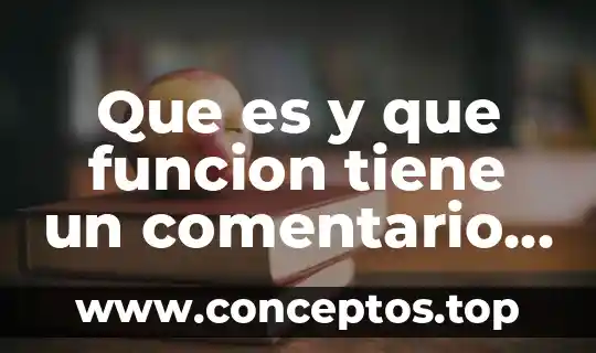 Que es y que funcion tiene un comentario literario
