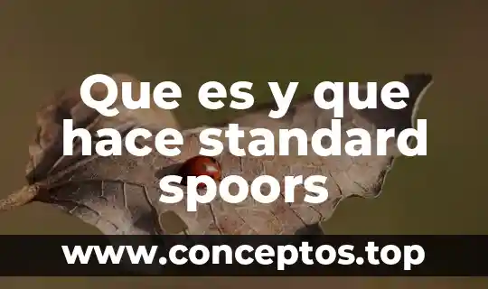 Que es y que hace standard spoors