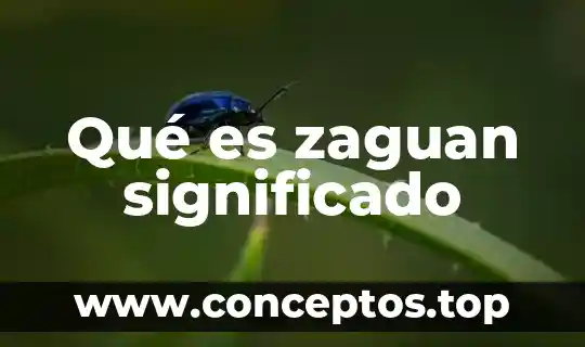 Qué es zaguan significado