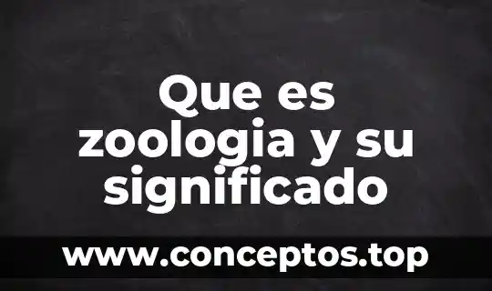 Que es profeta significado cristiano 6 Que es zoologia y su significado