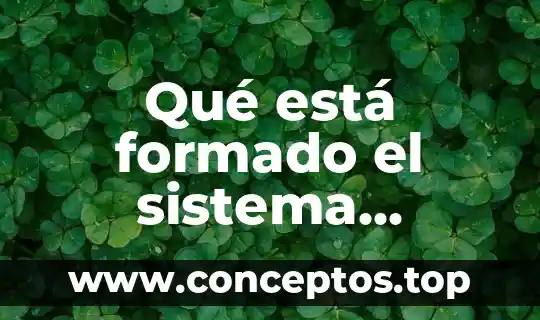 Que es formado por electro drulicos 3 Qué está formado el sistema digestivo