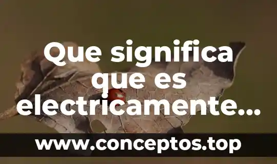 Que es reload page 5 Que significa que es electricamente borrable