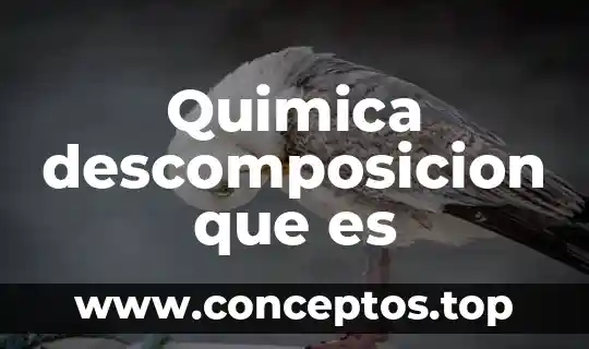 Quimica descomposicion que es