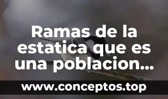 Ramas de la estatica que es una poblacion en estadisticas