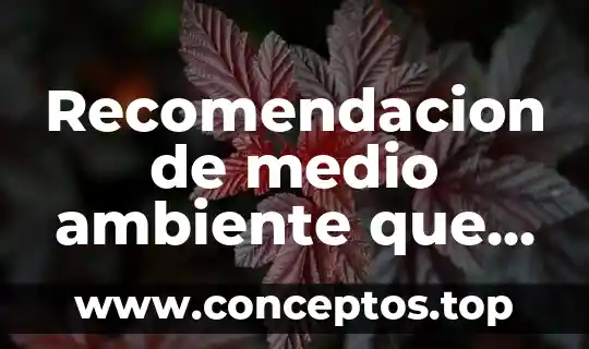 Recomendacion de medio ambiente que es