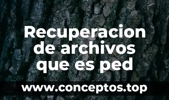 Recuperacion de archivos que es ped