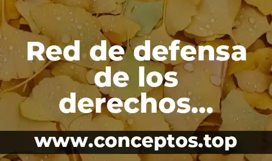 Red de defensa de los derechos digitales r3d que es