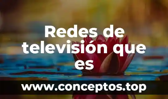 Redes de televisión que es