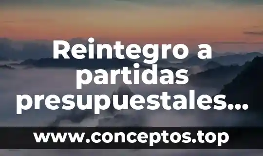 Reintegro a partidas presupuestales año en curso que es