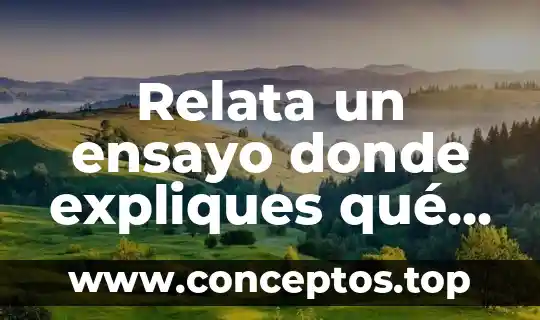 En un ensayo que es la hipótesis 8 Relata un ensayo donde expliques qué es un crédito