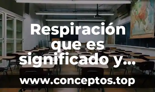 Que es hendido significado 3 Respiración que es significado y concepto