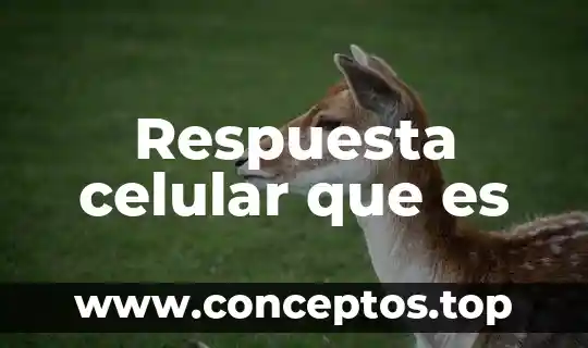 Que es la estatica de un celular 4 Respuesta celular que es
