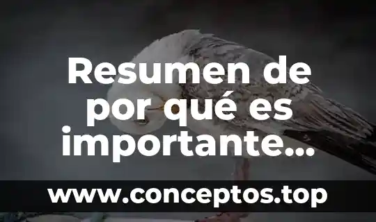 Resumen de por qué es importante estudiar la física