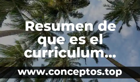 Resumen de que es el curriculum sánscrita