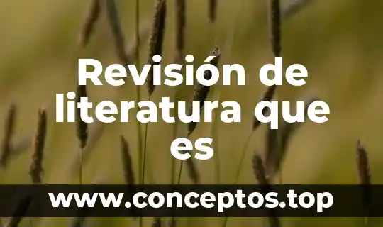 Revisión de literatura que es