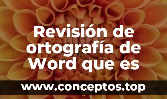 Revisión de ortografía de Word que es