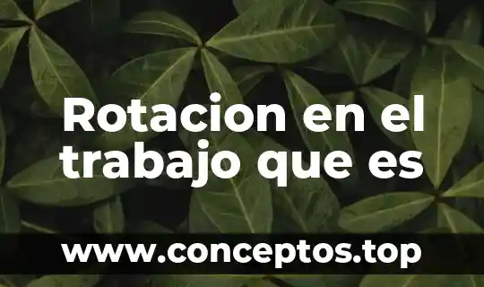 Que es la descripcion del trabajo de tesis 7 Rotacion en el trabajo que es